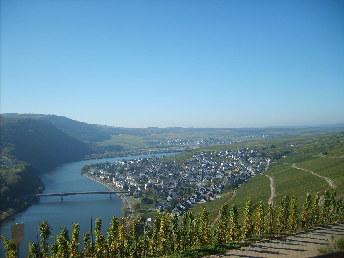 Gasthaus Zur Rebe Меринг Экстерьер фото